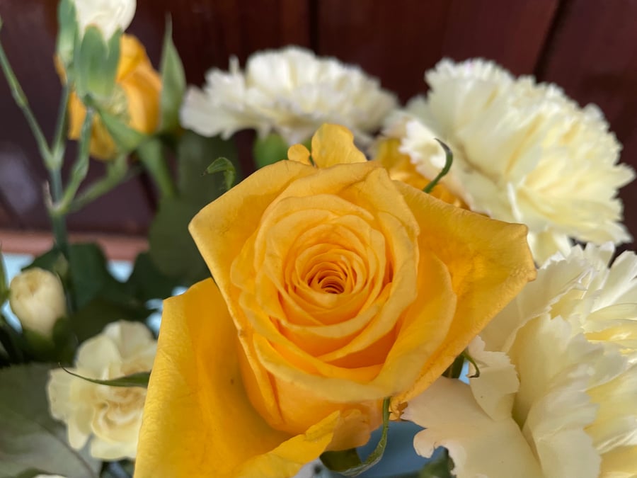 Floral Greeting Card -Yellow Rose Photography - Blank Inside