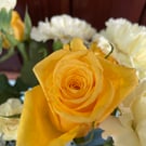Floral Greeting Card -Yellow Rose Photography - Blank Inside