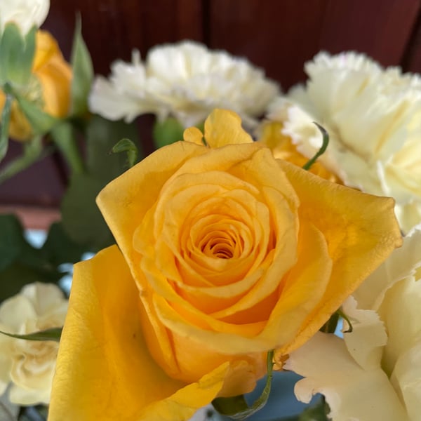 Floral Greeting Card -Yellow Rose Photography - Blank Inside