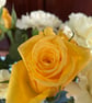 Floral Greeting Card -Yellow Rose Photography - Blank Inside