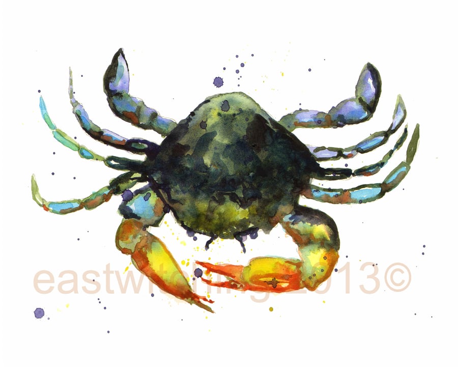 Watercolour CRAB painting