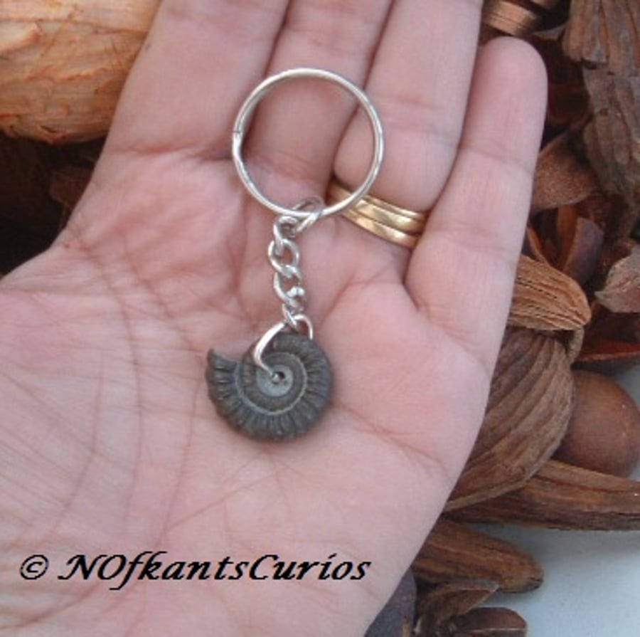 Pyrite Ammonite Fossil Keyring or Handbag Charm