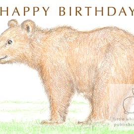 Billy the Brown Bear - Birthday Card