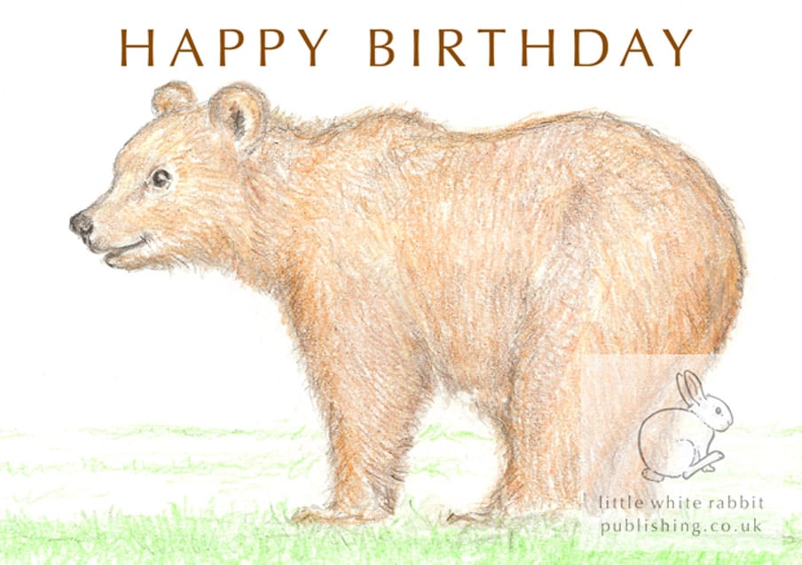 Billy the Brown Bear - Birthday Card