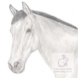 Cloud the Grey Horse - Blank Card