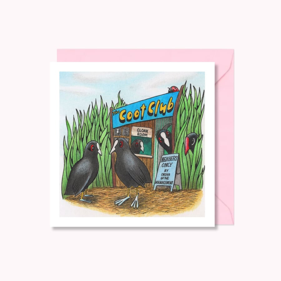 Funny Birds Greeting Card: Cute Hand Drawn Coots and Moorhen Illustration (222)