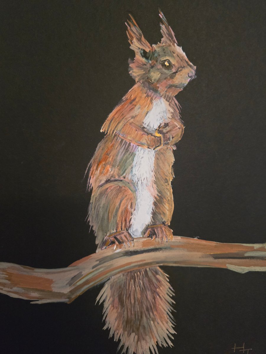 Scampi - A4 squirrel painting 