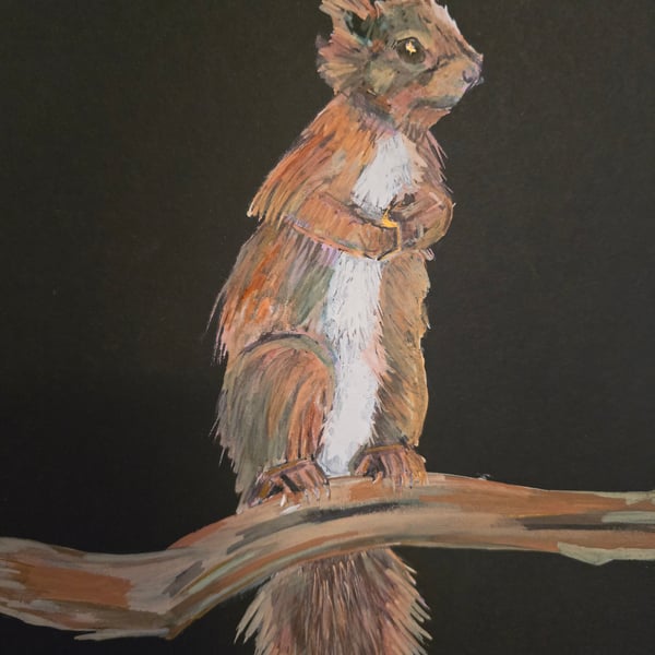 Scampi - A4 squirrel painting 