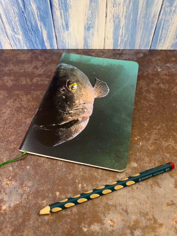 Notebook, Marine themed, A5 (ish), made from up-cycled and recycled materials.
