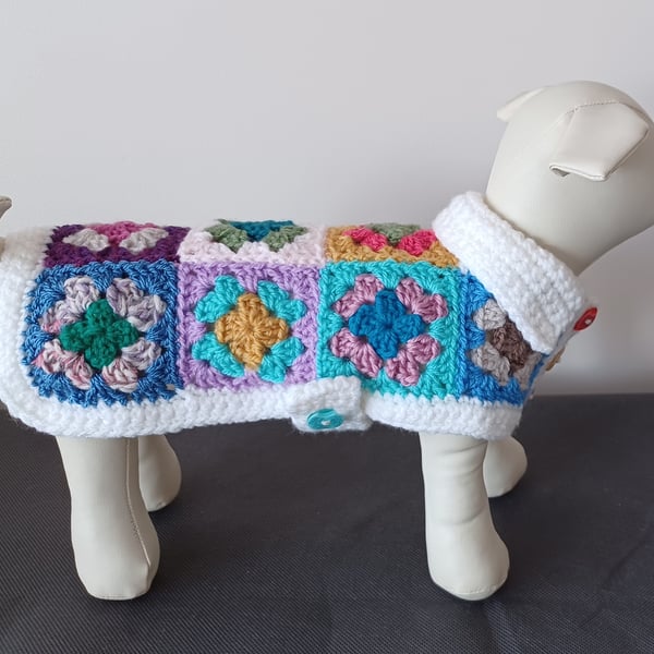 Crochet Squares Small Dog Coat With Buttons And Collar (R920)