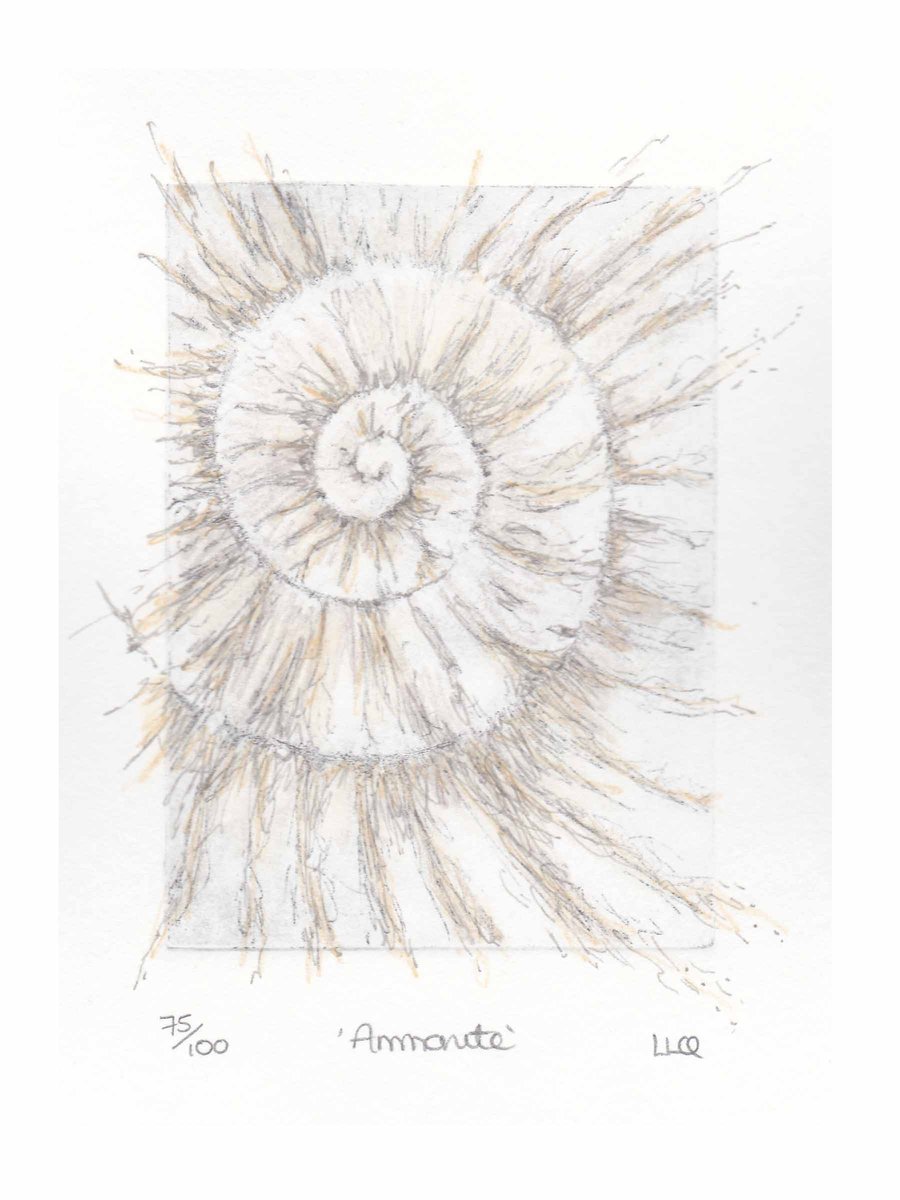 Etching no.75 of an ammonite fossil with mixed media in an edition of 100
