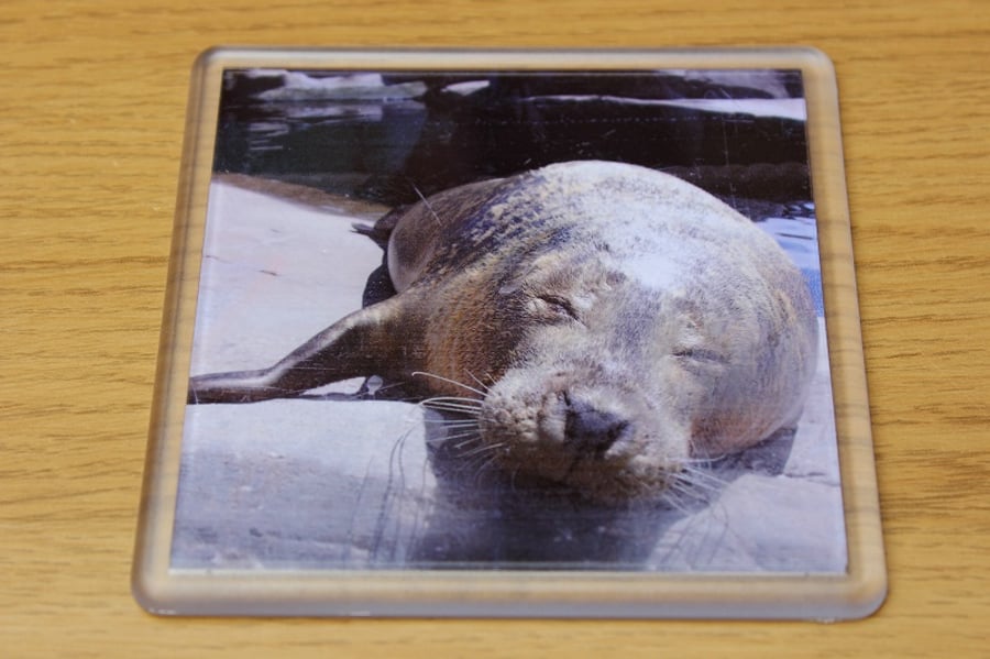 Very Chilled Out Seal (Single Drinks Coaster)