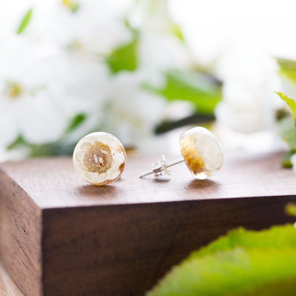 Real Flower Earrings White Blossom Floral Jewelry Pressed Flower Earrings Nature
