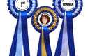 Competitions & Awards