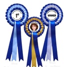 Custom Competition Rosettes Personalised Dog Show Horse Event Award Ribbons from