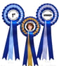 Custom Competition Rosettes Personalised Dog Show Horse Event Award Ribbons from