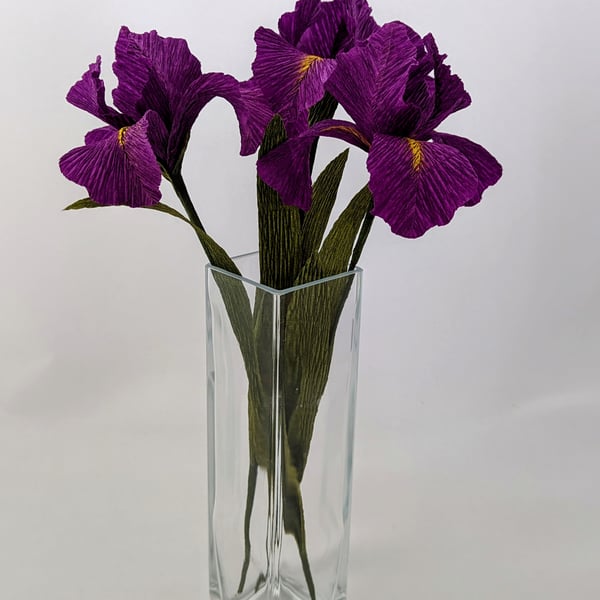 Crepe paper Iris