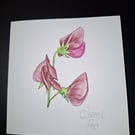 Original Handpainted Greetings Card- Sweet Pea