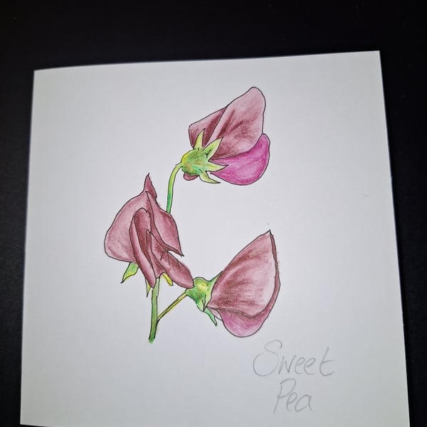 Original Handpainted Greetings Card- Sweet Pea