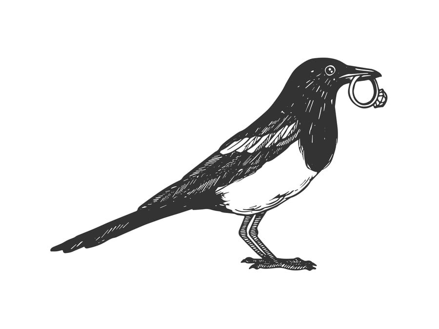 Mischief of Magpies