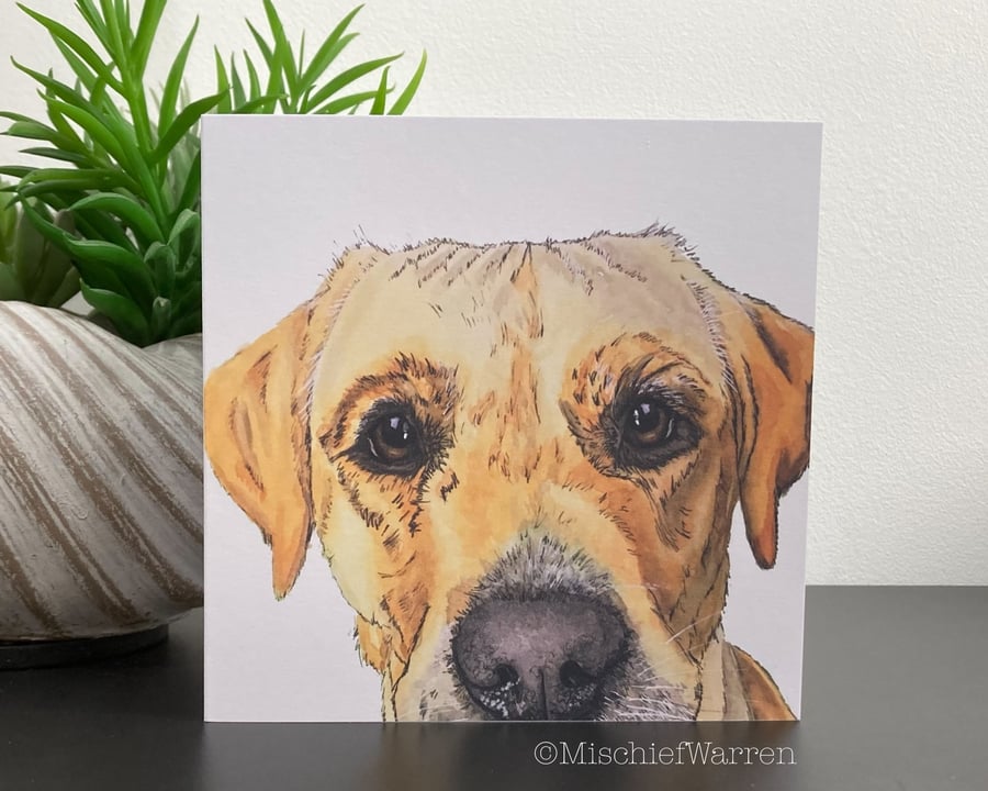 Labrador Dog Card. Blank or personalised Golden Yellow Labrador card.