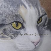 Animal Portraits by Sharon