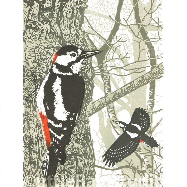 Great Spotted Woodpecker - hand cut limited edition linocut print