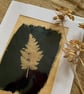 Tea Toned Leaf Cyanotype Mount - Image 3