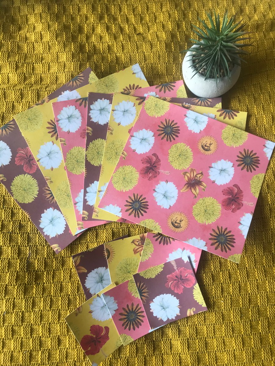 Mexicana Flower Note Cards Set -12 x large at 20cm square and 12 at  7cm square 