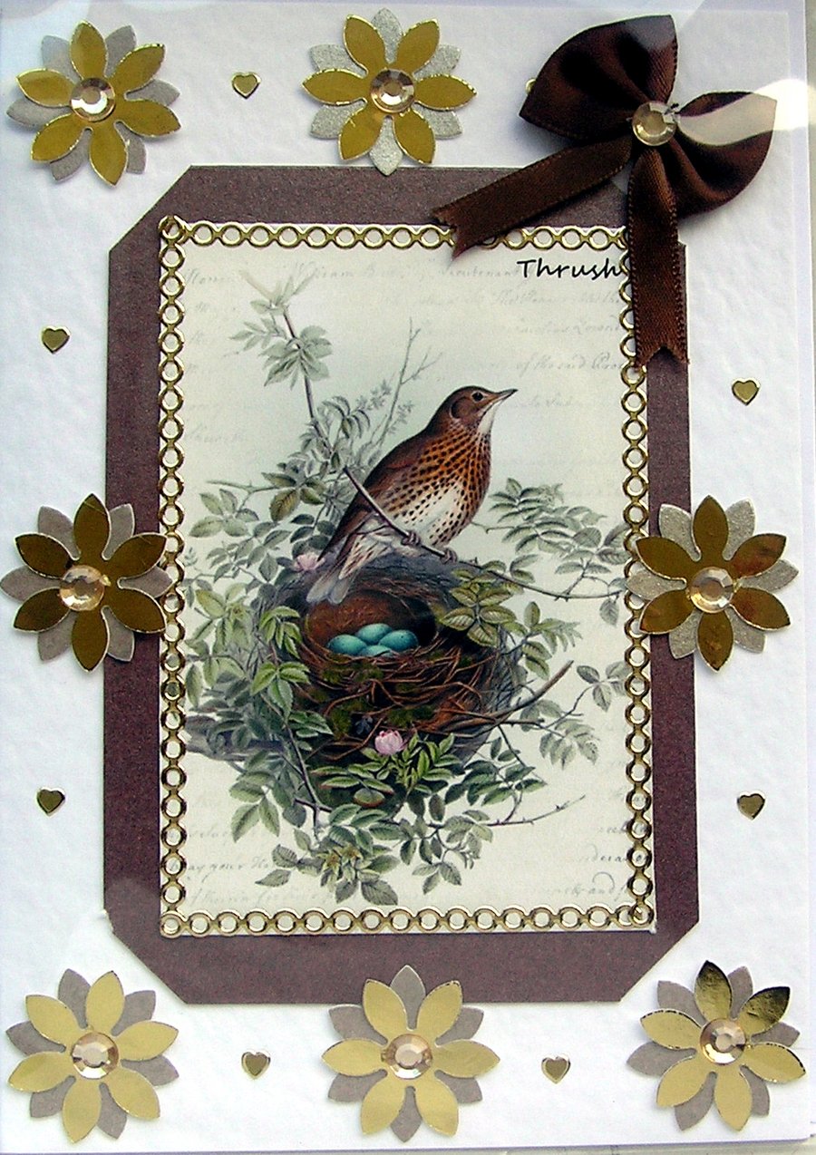 Bird Thrush - Hand Crafted Decoupage Card - Blank for any Occasion (2557)