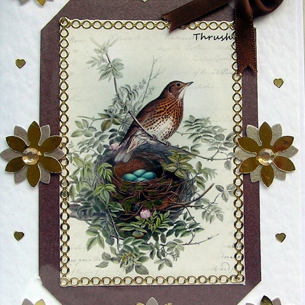Bird Thrush - Hand Crafted Decoupage Card - Blank for any Occasion (2557)