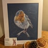 Robin, a signed print of an original drawing