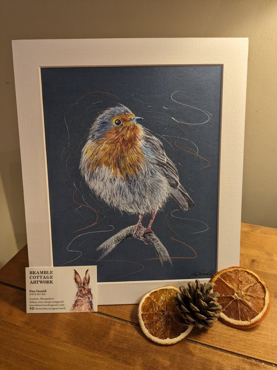 Robin, a signed print of an original drawing