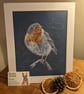 Robin, a signed print of an original drawing