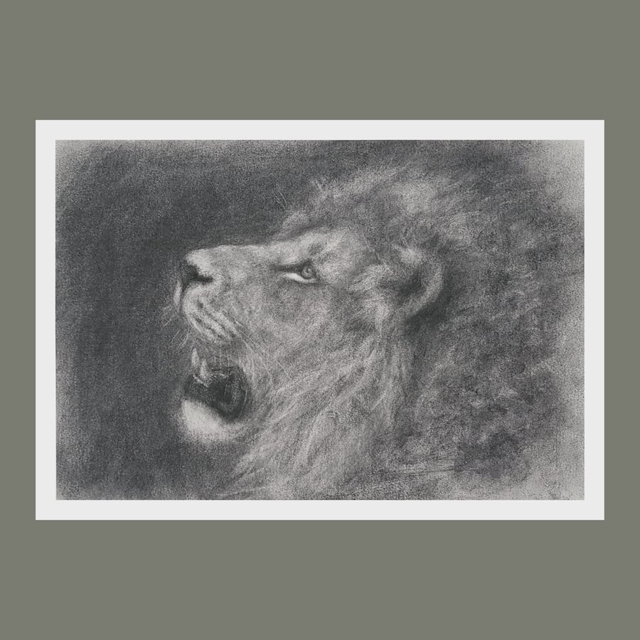 Lion Art Print, Charcoal Pencil Drawing, Wildlife Wall Art (A4) 