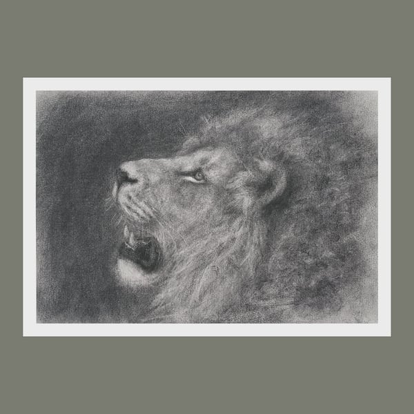 Lion Art Print, Charcoal Pencil Drawing, Wildlife Wall Art (A4) 