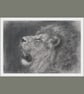 Lion Art Print, Charcoal Pencil Drawing, Wildlife Wall Art (A4) 