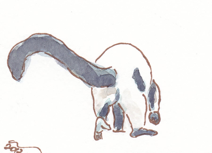 ACEO Animal Art Ruffed Lemur Walk Original Watercolour and Ink Painting OOAK 