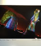 Andy Scott's Kelpies multicolour Signed Mounted Print FREE DELIVERY