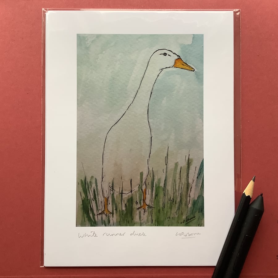 White runner duck. Signed print. Farm animal. Pet. Bird