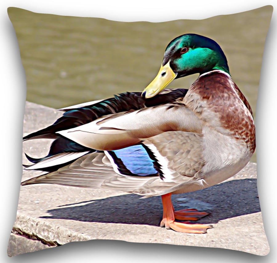 Duck Cushion Duck pillow 