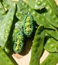 Pea pod earrings, Jewellery gift for gardener, Green jewellery, Vegetable theme - Image 8