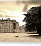 Basildon Park Goring On Thames Streatley Berkshire Photograph Print - Image 6