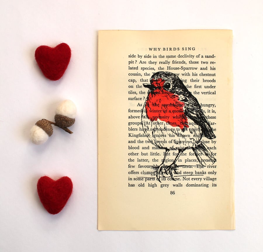 Robin Print on Vintage Book Page Why Birds Sing