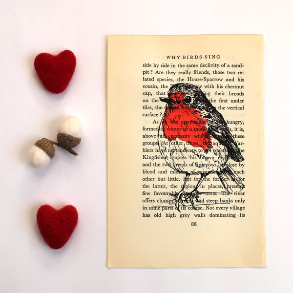 Robin Print on Vintage Book Page Why Birds Sing