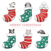 'Dogs in Stockings' Christmas Card