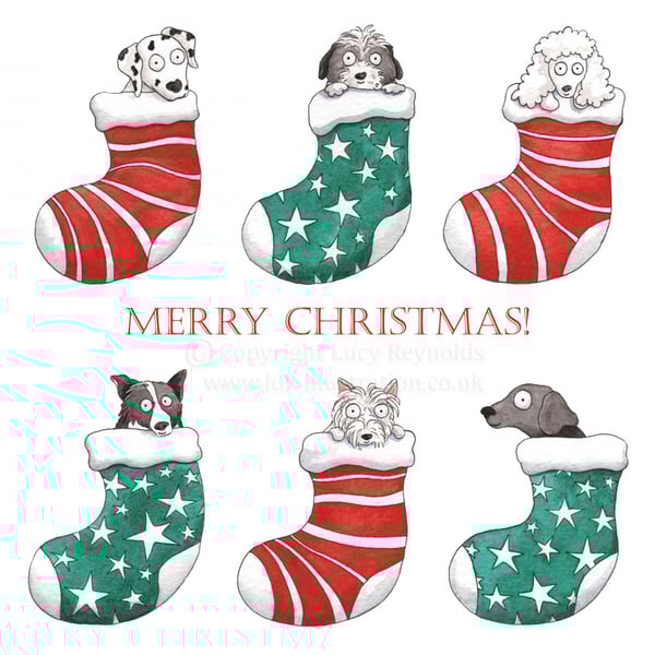 'Dogs in Stockings' Christmas Card