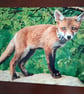 FOX CUB PHOTOGRAPH 