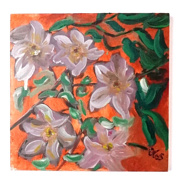 Clematis Pink, an original oil painting on wood panel, 8x8 inch, (20x20cm).