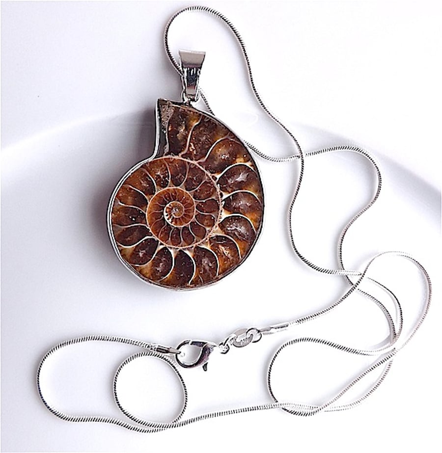 Ammonite fossil slice pendant on snake chain.